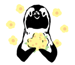 Penguins A sticker #2150435