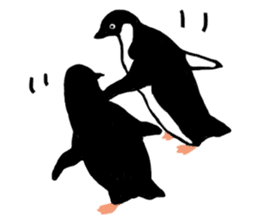 Penguins A sticker #2150441