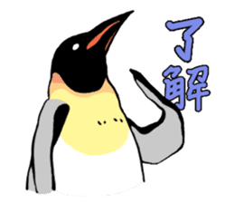 Penguins A sticker #2150442