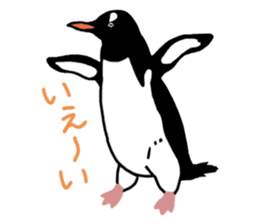 Penguins A sticker #2150444