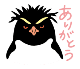 Penguins A sticker #2150446