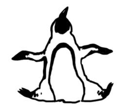 Penguins A sticker #2150450