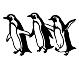 Penguins A sticker #2150451