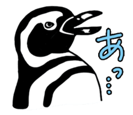 Penguins A sticker #2150452