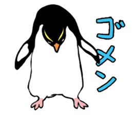 Penguins A sticker #2150454