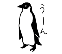 Penguins A sticker #2150456