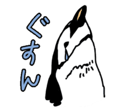 Penguins A sticker #2150457
