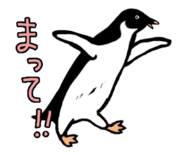 Penguins A sticker #2150460