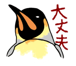 Penguins A sticker #2150462
