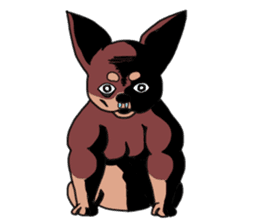 Physial Beauty!! Muscle Chihuahua!! sticker #2162049