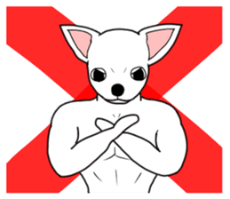 Physial Beauty!! Muscle Chihuahua!! sticker #2162062
