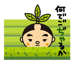 Otyamurai,mascot for Minamikyusyu city. sticker #2162658