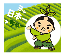 Otyamurai,mascot for Minamikyusyu city. sticker #2162660