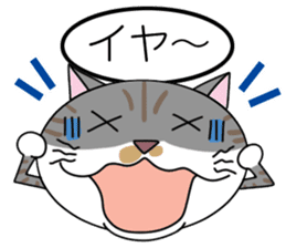 Talking cat: Kurin sticker #2162918