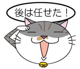 Talking cat: Kurin sticker #2162922
