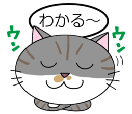 Talking cat: Kurin sticker #2162927