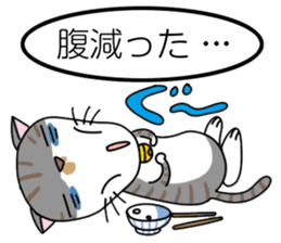 Talking cat: Kurin sticker #2162934