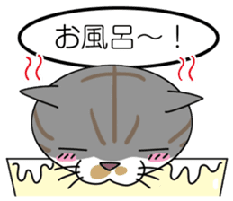 Talking cat: Kurin sticker #2162938