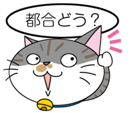 Talking cat: Kurin sticker #2162946