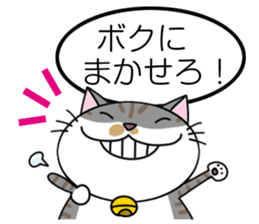 Talking cat: Kurin sticker #2162951
