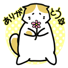 Scoron of cat sticker #2164192