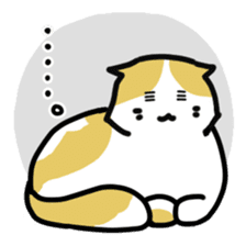 Scoron of cat sticker #2164206