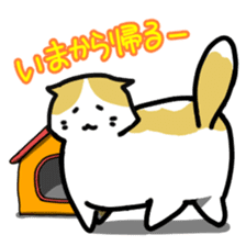 Scoron of cat sticker #2164216