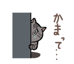 Japanese cat named Kijitora sticker #2164390