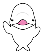 The KUU white dolphin sticker #2164633