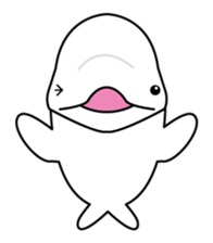 The KUU white dolphin sticker #2164635