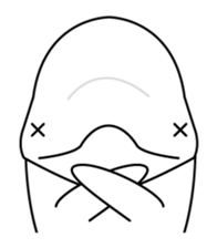 The KUU white dolphin sticker #2164643