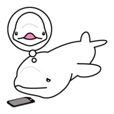 The KUU white dolphin sticker #2164656