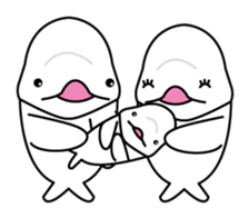 The KUU white dolphin sticker #2164658