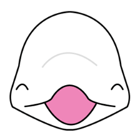 The KUU white dolphin sticker #2164661