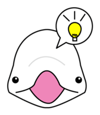 The KUU white dolphin sticker #2164664