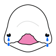 The KUU white dolphin sticker #2164668