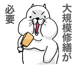 CPA Cat!! sticker #2170606