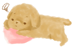 Poochico(toypoodle) sticker #2173136