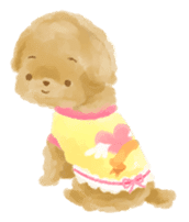 Poochico(toypoodle) sticker #2173146