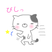 buchi cat sticker #2173498