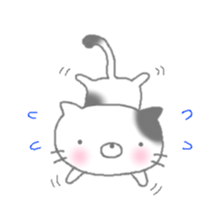 buchi cat sticker #2173512