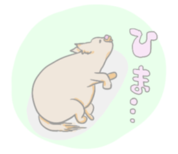 Fat Chihuahua sticker #2174023