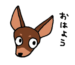 minipin-chan sticker #2177159
