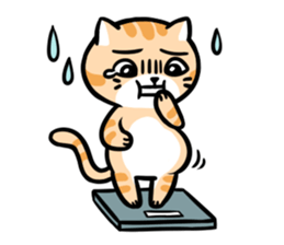 Daily Dull Cat English edition sticker #2178033