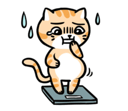 Daily Dull Cat English edition sticker #2178033