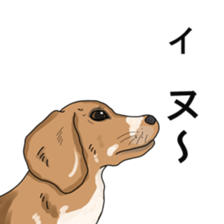 Animals who speak sticker #2182688