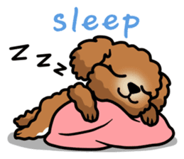 PT waits for master English edition sticker #2183634