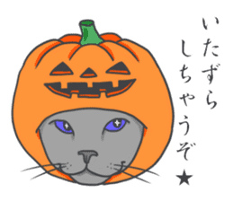 Cats to express sticker #2185733