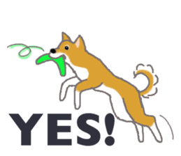 Shiba - English ! sticker #2186376