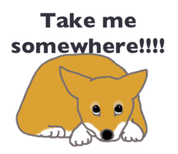 Shiba - English ! sticker #2186379